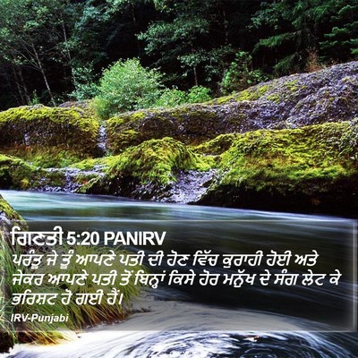 ਗਿਣਤੀ 5:20 PANIRV Bible Verse Image