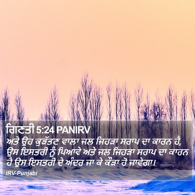 ਗਿਣਤੀ 5:24 PANIRV Bible Verse Image