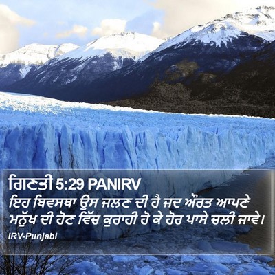 ਗਿਣਤੀ 5:29 PANIRV Bible Verse Image