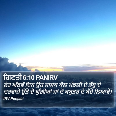 ਗਿਣਤੀ 6:10 PANIRV Bible Verse Image