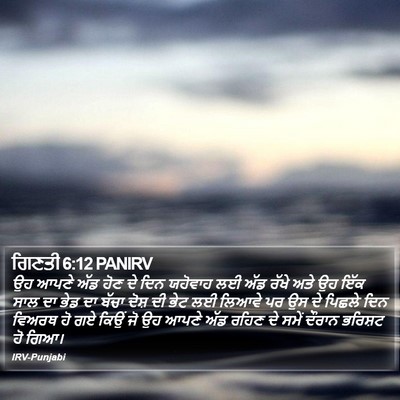 ਗਿਣਤੀ 6:12 PANIRV Bible Verse Image