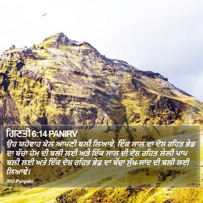 ਗਿਣਤੀ 6:14 PANIRV Bible Verse Image