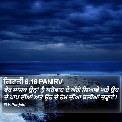ਗਿਣਤੀ 6:16 PANIRV Bible Verse Image