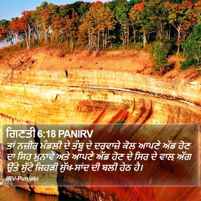 ਗਿਣਤੀ 6:18 PANIRV Bible Verse Image