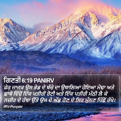 ਗਿਣਤੀ 6:19 PANIRV Bible Verse Image