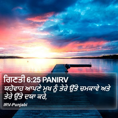 ਗਿਣਤੀ 6:25 PANIRV Bible Verse Image