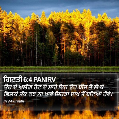 ਗਿਣਤੀ 6:4 PANIRV Bible Verse Image