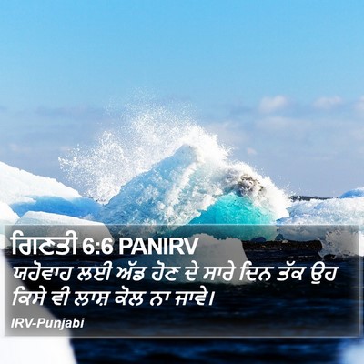 ਗਿਣਤੀ 6:6 PANIRV Bible Verse Image