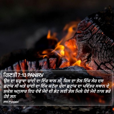 ਗਿਣਤੀ 7:13 PANIRV Bible Verse Image