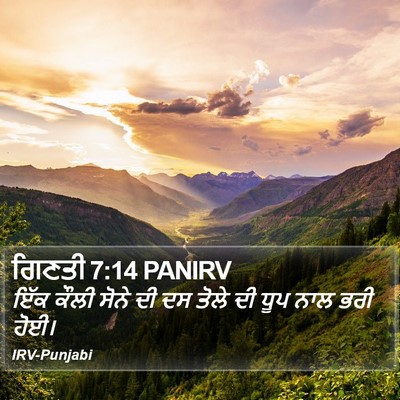 ਗਿਣਤੀ 7:14 PANIRV Bible Verse Image