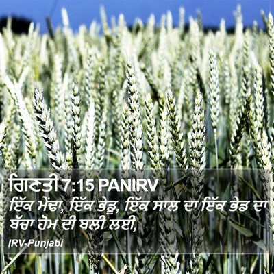 ਗਿਣਤੀ 7:15 PANIRV Bible Verse Image