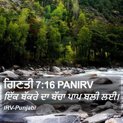 ਗਿਣਤੀ 7:16 PANIRV Bible Verse Image