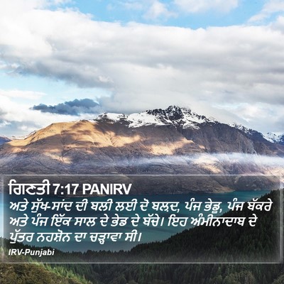 ਗਿਣਤੀ 7:17 PANIRV Bible Verse Image