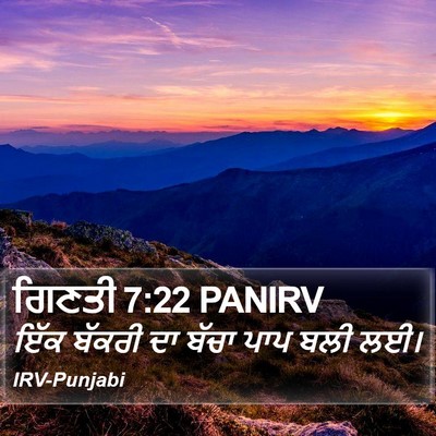 ਗਿਣਤੀ 7:22 PANIRV Bible Verse Image