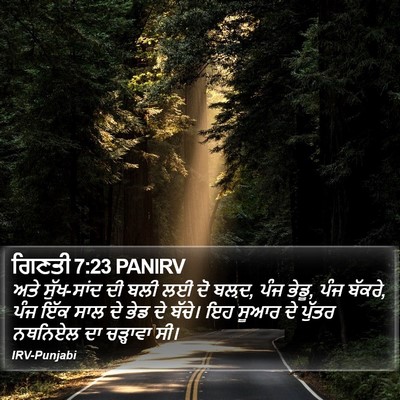 ਗਿਣਤੀ 7:23 PANIRV Bible Verse Image