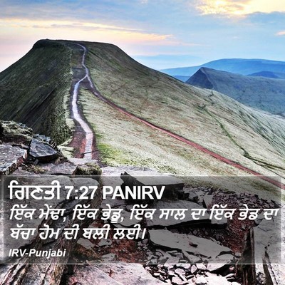 ਗਿਣਤੀ 7:27 PANIRV Bible Verse Image