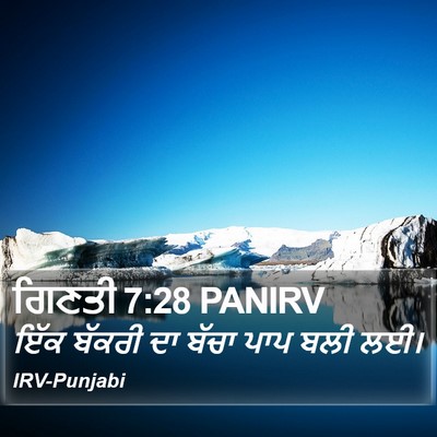 ਗਿਣਤੀ 7:28 PANIRV Bible Verse Image