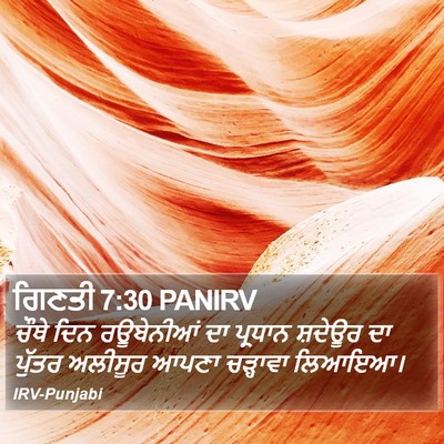 ਗਿਣਤੀ 7:30 PANIRV Bible Verse Image