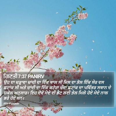 ਗਿਣਤੀ 7:37 PANIRV Bible Verse Image