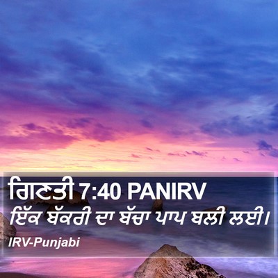ਗਿਣਤੀ 7:40 PANIRV Bible Verse Image