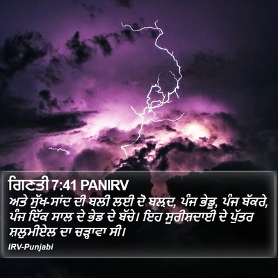 ਗਿਣਤੀ 7:41 PANIRV Bible Verse Image