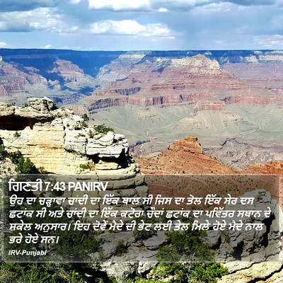 ਗਿਣਤੀ 7:43 PANIRV Bible Verse Image