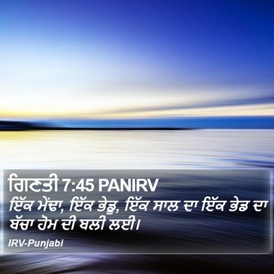 ਗਿਣਤੀ 7:45 PANIRV Bible Verse Image