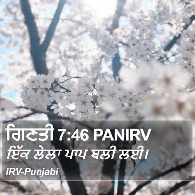 ਗਿਣਤੀ 7:46 PANIRV Bible Verse Image