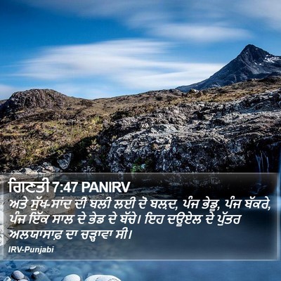 ਗਿਣਤੀ 7:47 PANIRV Bible Verse Image
