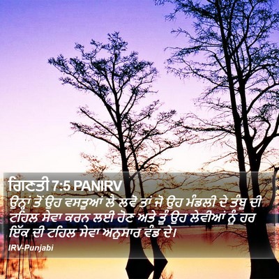 ਗਿਣਤੀ 7:5 PANIRV Bible Verse Image
