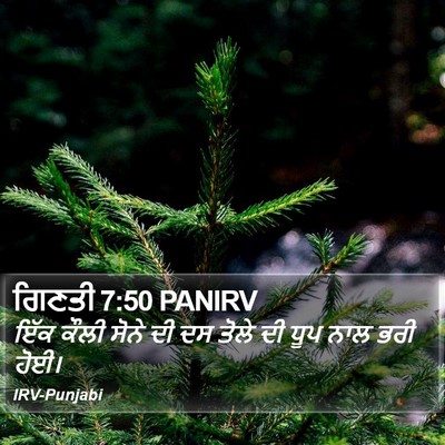ਗਿਣਤੀ 7:50 PANIRV Bible Verse Image