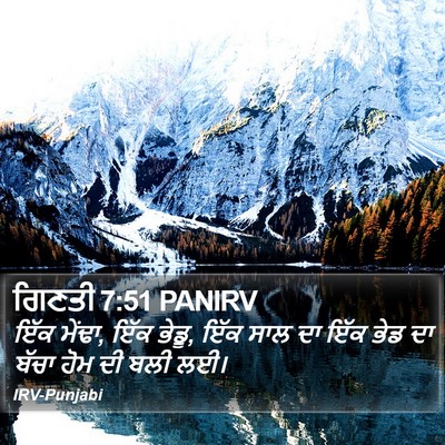 ਗਿਣਤੀ 7:51 PANIRV Bible Verse Image