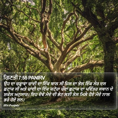 ਗਿਣਤੀ 7:55 PANIRV Bible Verse Image