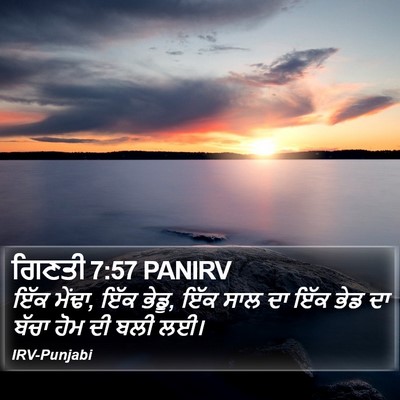 ਗਿਣਤੀ 7:57 PANIRV Bible Verse Image