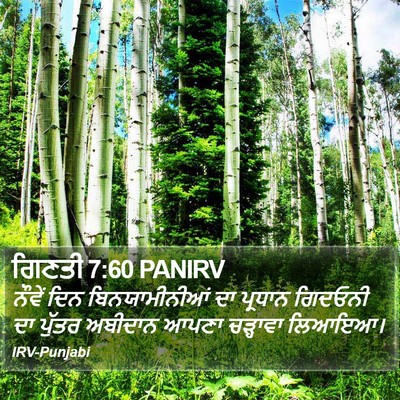 ਗਿਣਤੀ 7:60 PANIRV Bible Verse Image