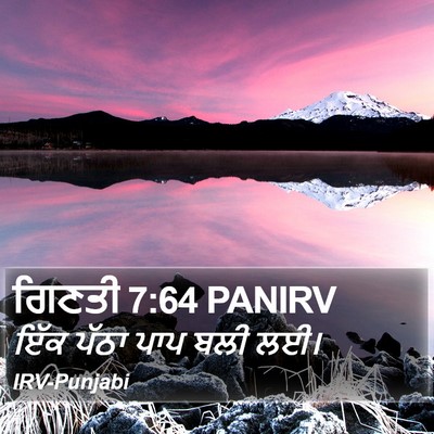 ਗਿਣਤੀ 7:64 PANIRV Bible Verse Image