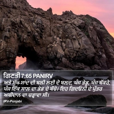 ਗਿਣਤੀ 7:65 PANIRV Bible Verse Image