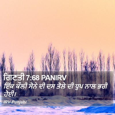 ਗਿਣਤੀ 7:68 PANIRV Bible Verse Image