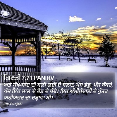 ਗਿਣਤੀ 7:71 PANIRV Bible Verse Image