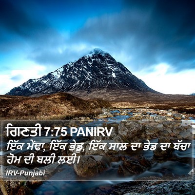 ਗਿਣਤੀ 7:75 PANIRV Bible Verse Image