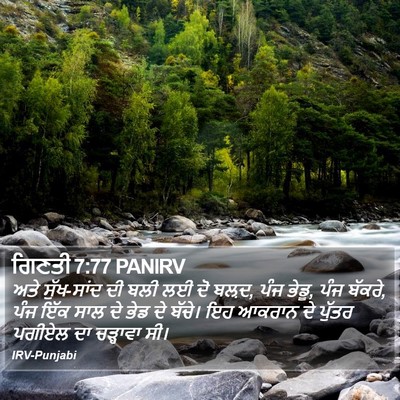 ਗਿਣਤੀ 7:77 PANIRV Bible Verse Image