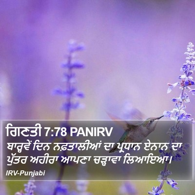 ਗਿਣਤੀ 7:78 PANIRV Bible Verse Image