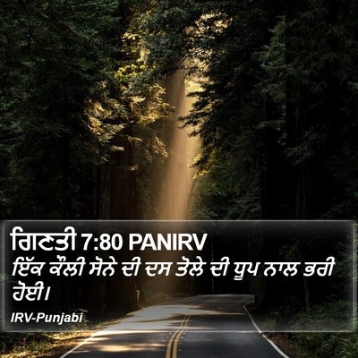ਗਿਣਤੀ 7:80 PANIRV Bible Verse Image