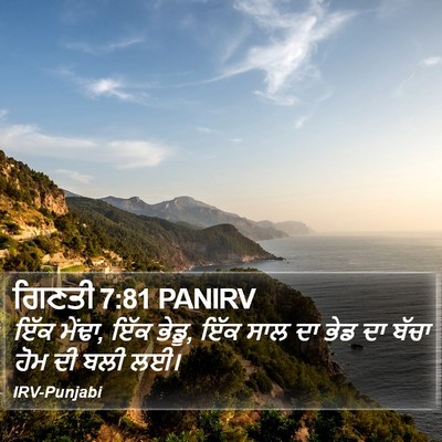 ਗਿਣਤੀ 7:81 PANIRV Bible Verse Image