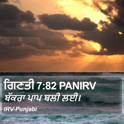 ਗਿਣਤੀ 7:82 PANIRV Bible Verse Image