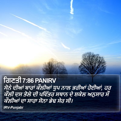 ਗਿਣਤੀ 7:86 PANIRV Bible Verse Image