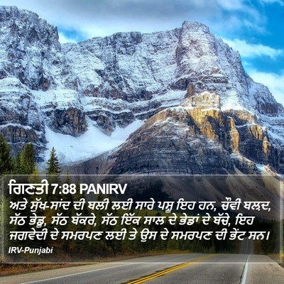 ਗਿਣਤੀ 7:88 PANIRV Bible Verse Image