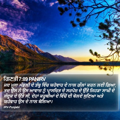 ਗਿਣਤੀ 7:89 PANIRV Bible Verse Image