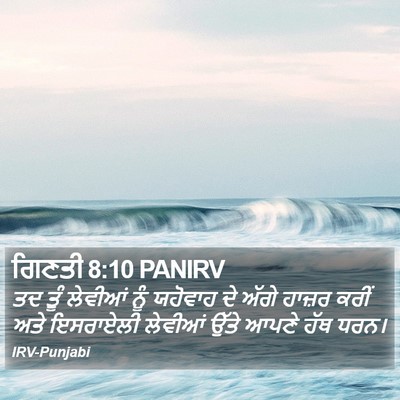ਗਿਣਤੀ 8:10 PANIRV Bible Verse Image