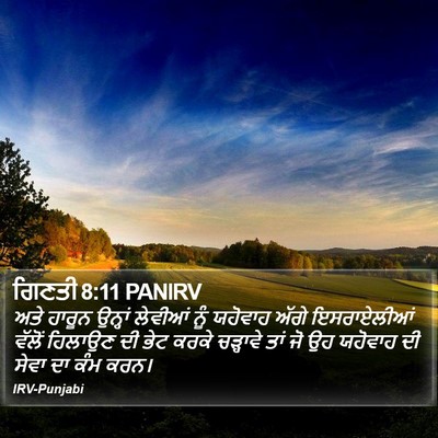 ਗਿਣਤੀ 8:11 PANIRV Bible Verse Image
